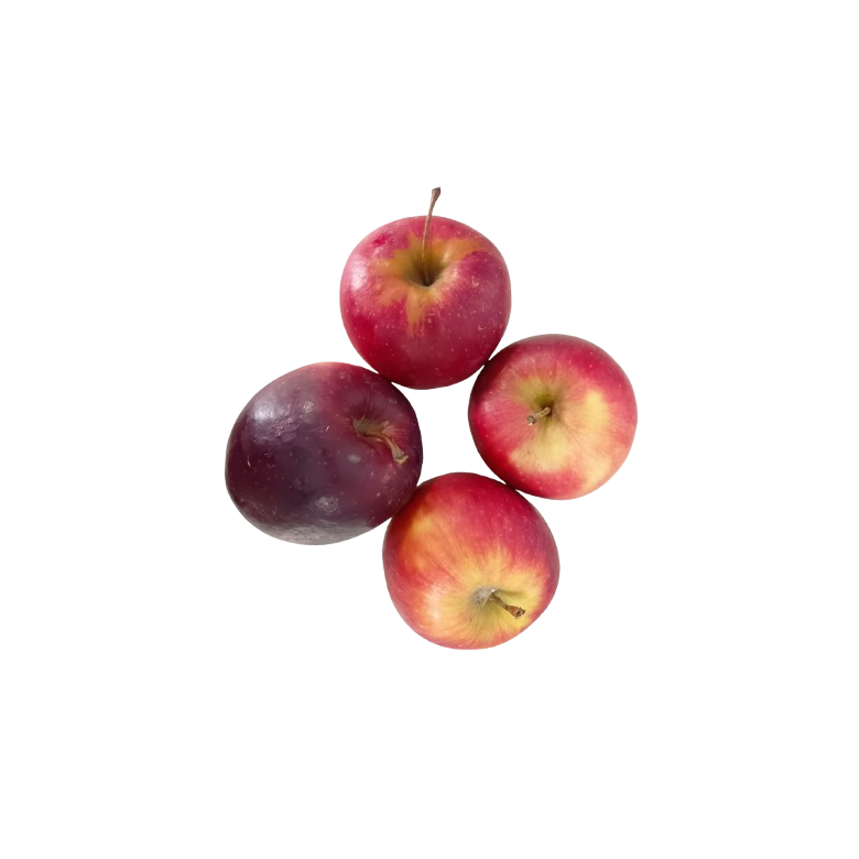 RED STORY SMALL apple organic